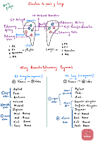 Lung Features.pdf